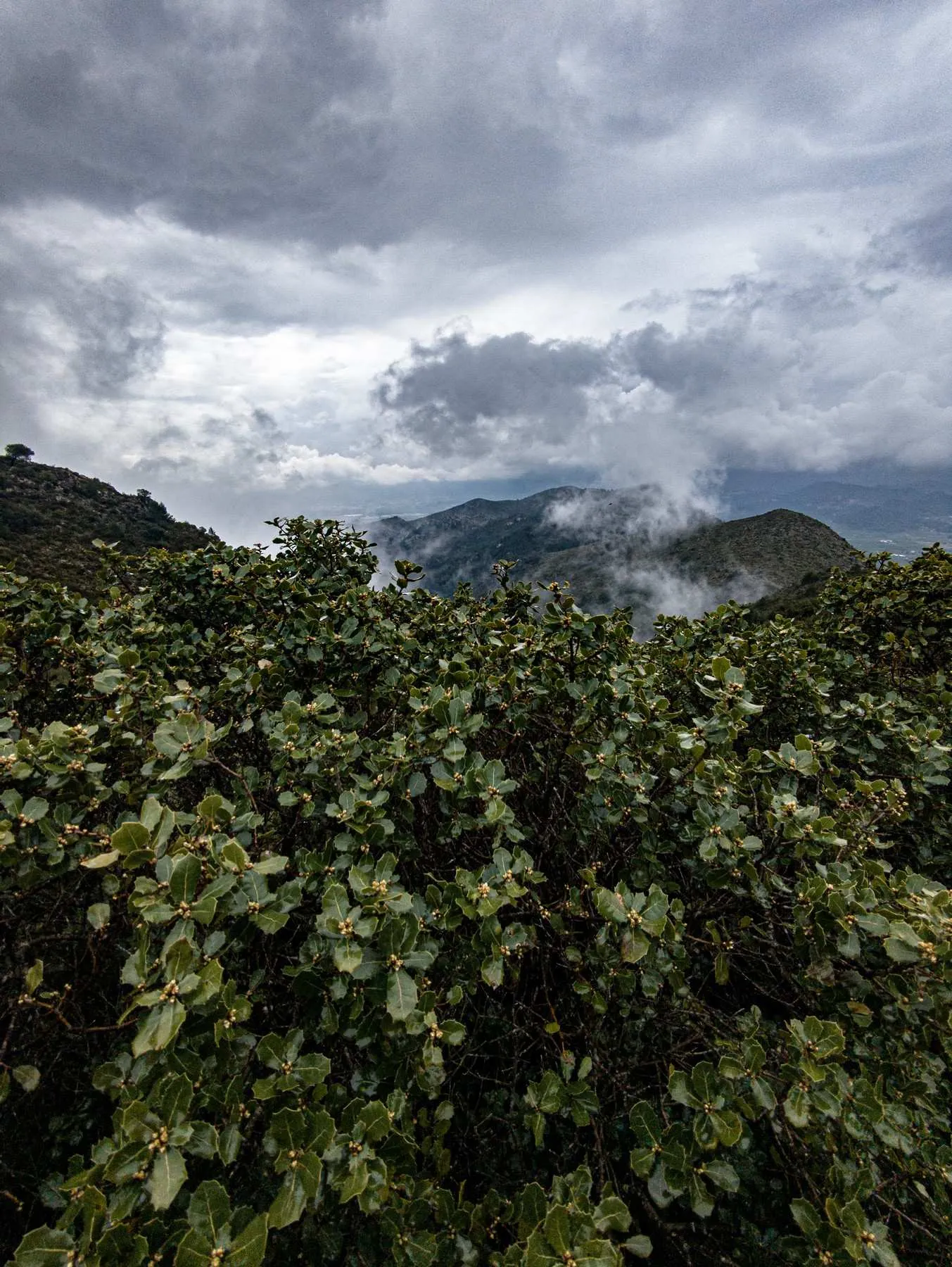 Local hiking Marxuquera
